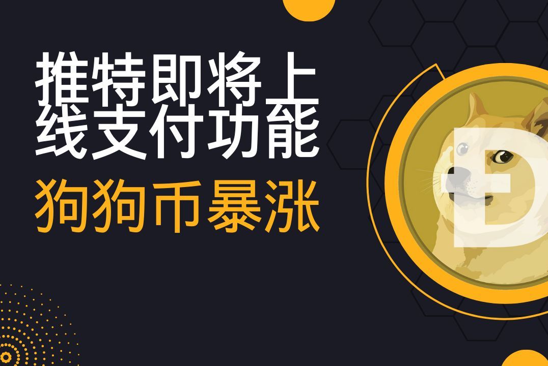 为什么狗狗币一路下跌，为什么狗狗币一路下跌那么快
