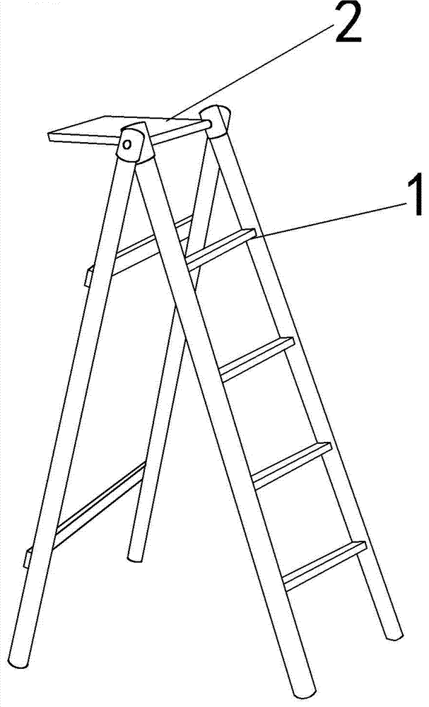 仙梯子画法简笔画图片大全，仙梯子画法简笔画图片大全集