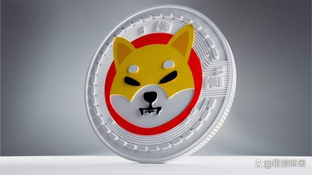 shib币冷钱包，冷钱包币可以直接转到交易所吗