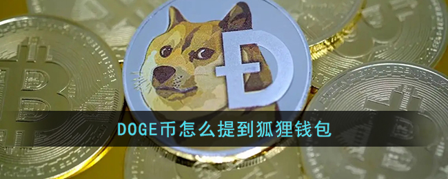 狐狸钱包转狐狸币怎么转，中本聪绑定小狐狸钱包教程