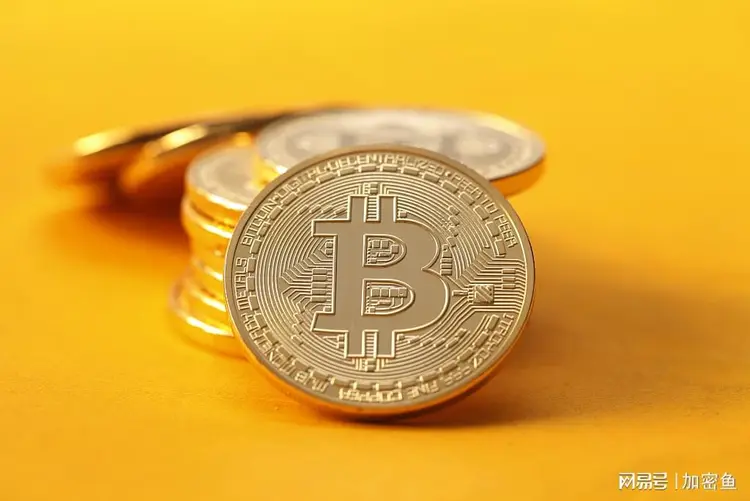 2023未来4种暴涨的币，2023未来4种暴涨的币 mdx