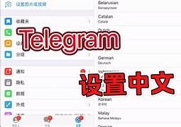 telegeram怎么换成中文，纸飞机telegeram中文安装包