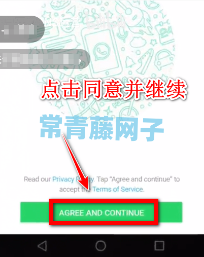 whatsapp下载苹果手机版下载，whatsapp下载苹果手机版下载2024