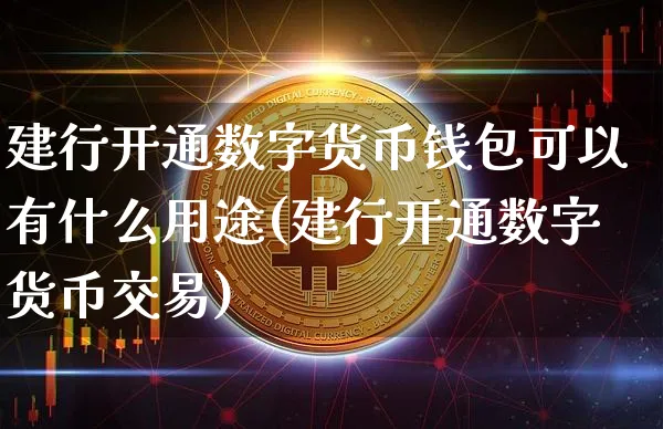 币圈什么钱包比较好，币圈什么钱包比较好卖