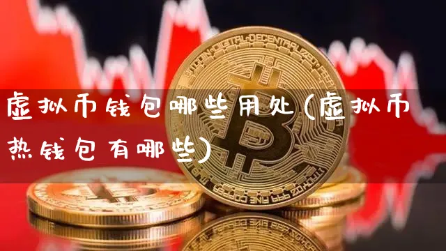 虚拟币钱包的作用有哪些，虚拟币钱包的作用有哪些呢