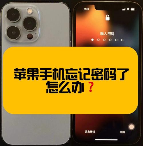iphone钱包密码忘了怎么办，苹果手机钱包密码忘了手机打不开了