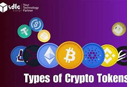 tokeneco下载，tokenim官方下载