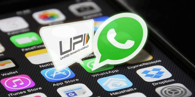 whatsapp在中国能用吗2020，whatsapp在中国能用吗安卓手机可以用吗