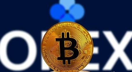 oec交易所，ocx交易所官网