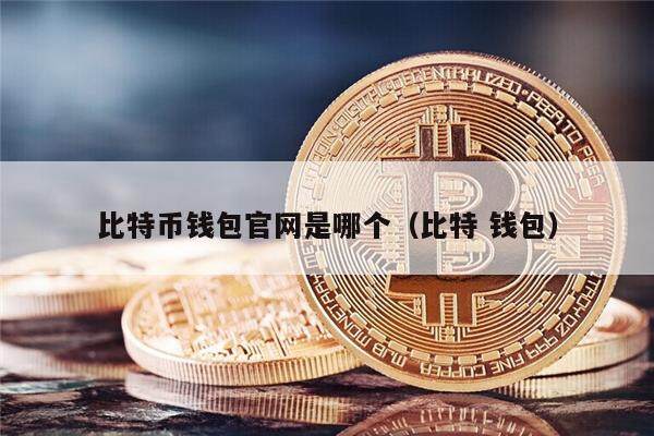 2011年比特币钱包有哪些，2011年比特币最低价格是多少