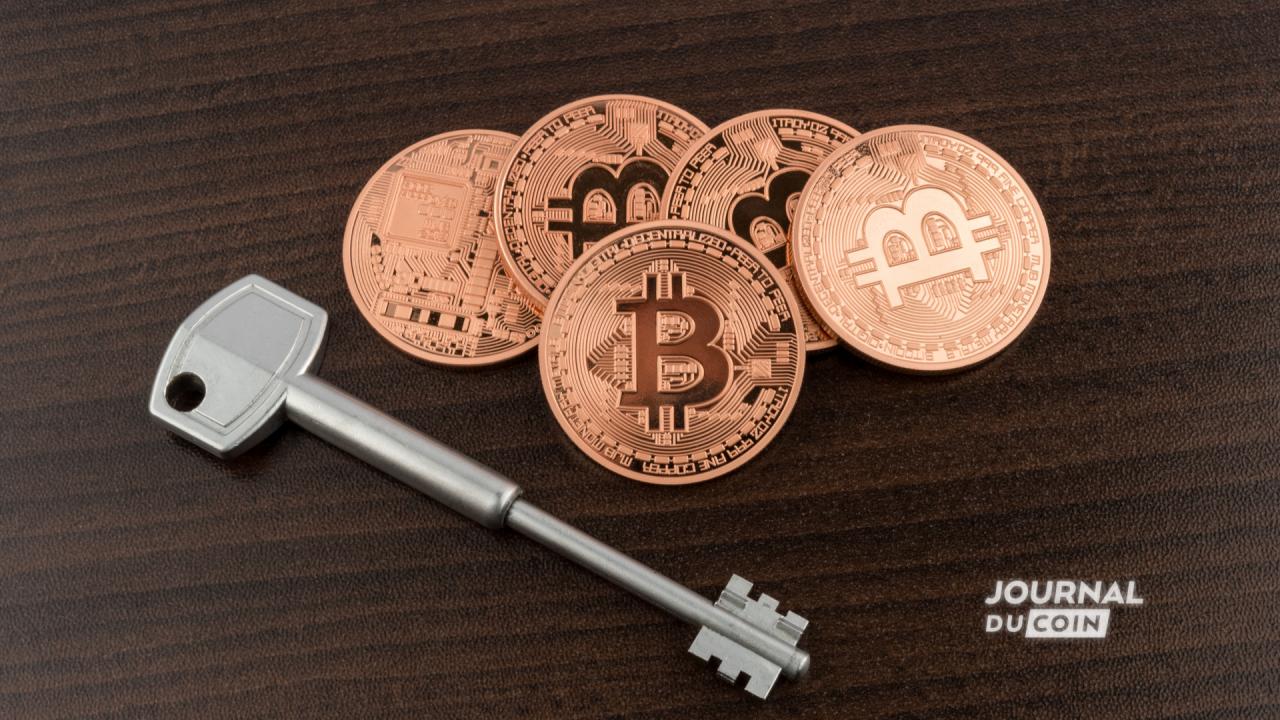 2011年比特币钱包有哪些，2011年比特币最低价格是多少
