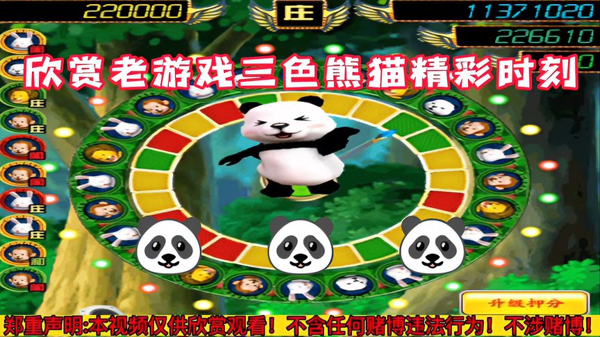 熊猫赌博案例，熊猫赌博案例分析