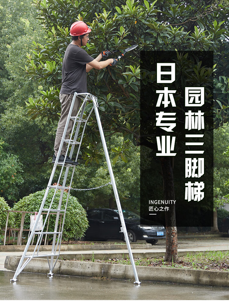 果树专用梯子，果树专用梯子图片大全