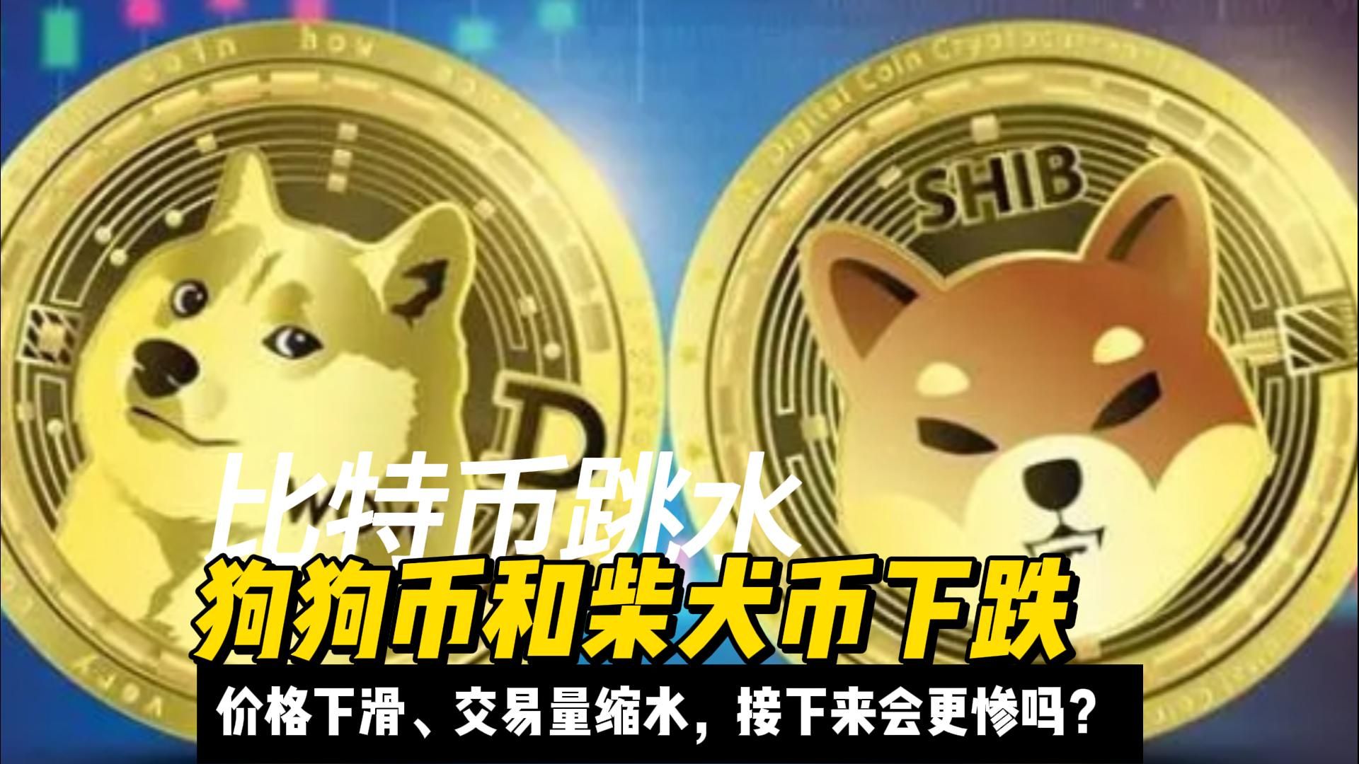 狗狗币价格实时行情，狗狗币价格实时行情查询