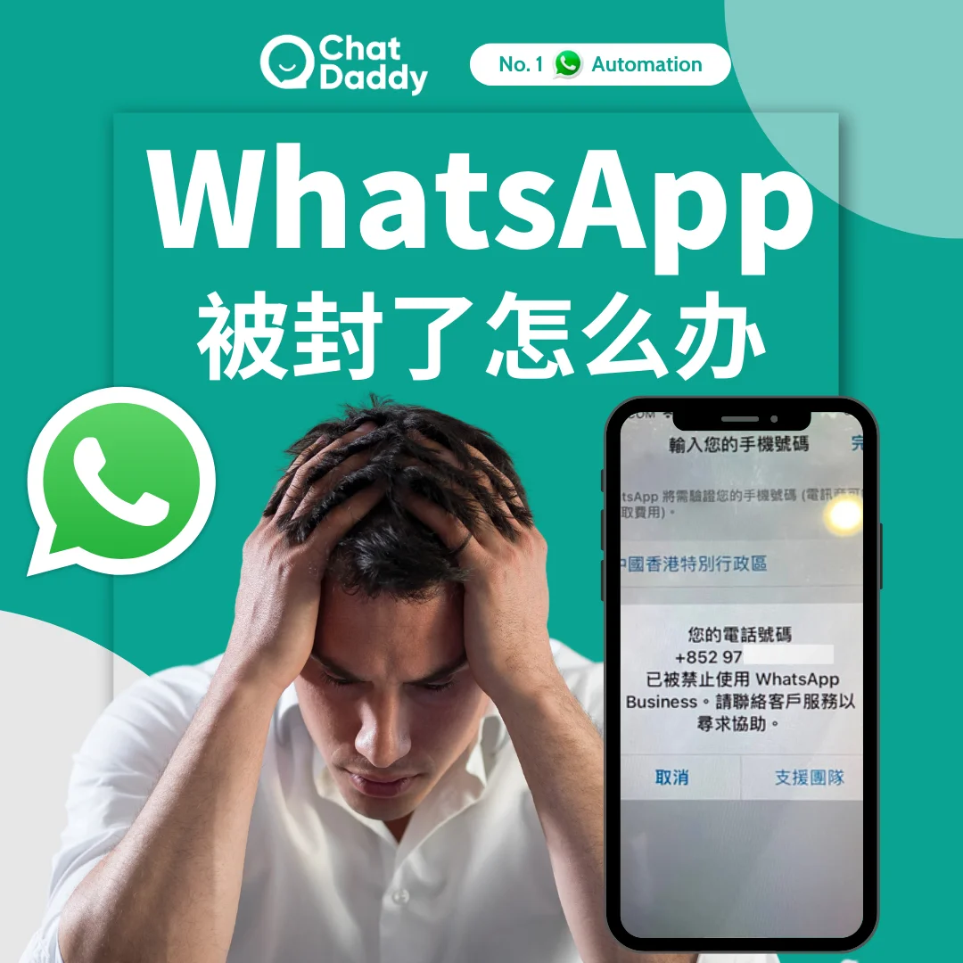 whatsapp怎么读翻译中文，whatsapp怎么能中英文翻译