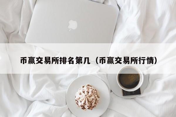 币赢交易所安卓版下载，币赢交易所app是骗局吗