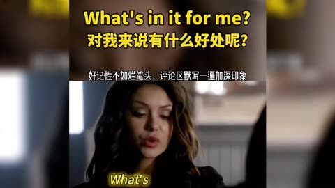 what's聊天软件，what's聊天软件下载