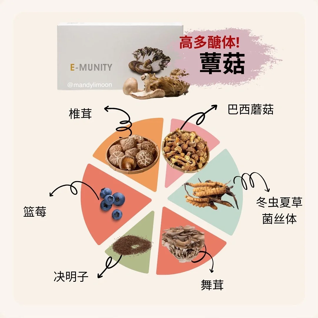 mycelium钱包，mycelium钱包下载