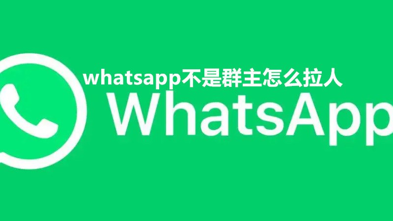 whatsapp在哪加好友，whatsapp在哪添加好友