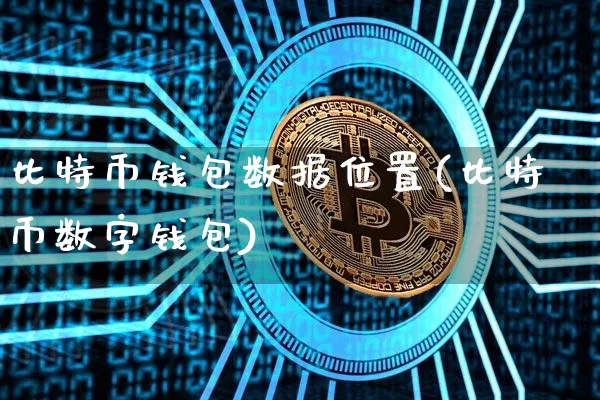 币圈钱包哪个靠谱，币圈的钱包是干嘛的