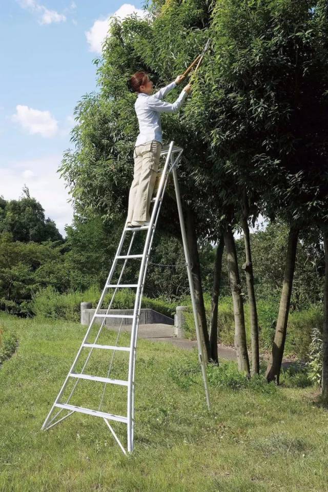 详细阅读:免费版梯子手机,手机 免费 梯子 免费版梯子手机,手机 免费 梯子