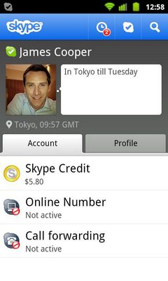 电脑里的skype有用吗，电脑的skype是什么软件
