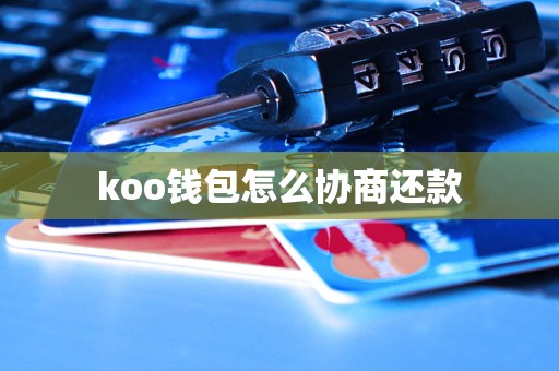 koo钱包是支付宝的吗，koo钱包和支付宝有关系吗