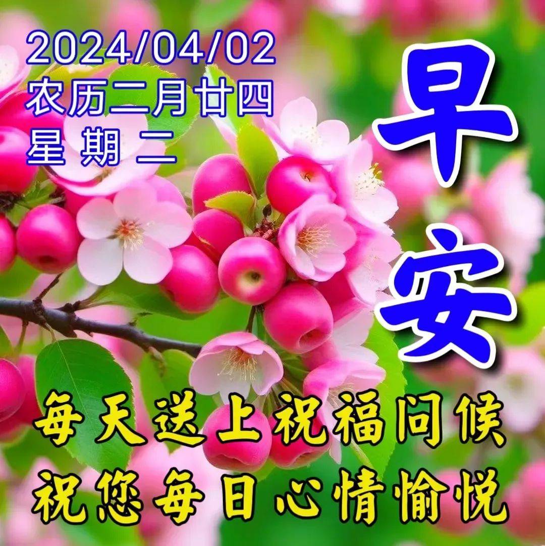 下载微信2，徽信分身版下载微信2