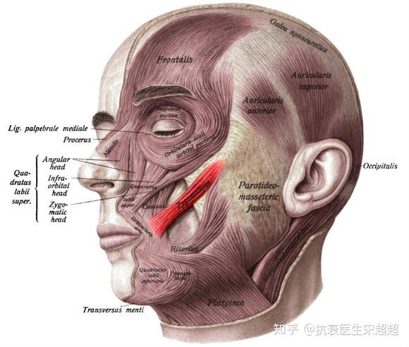 smas币，stas币最新价格