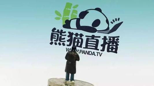 熊猫游戏是赌博吗，熊猫游戏是什么意思
