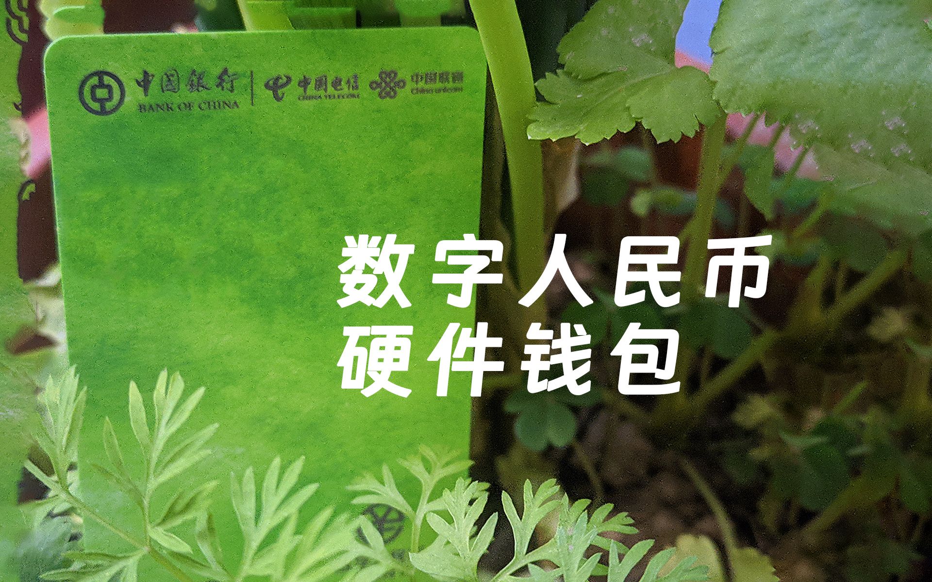 tp钱包视频教程，tp钱包使用教程视频