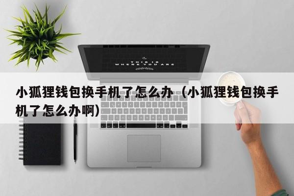 手机如何安装小狐狸钱包，中文手机版小狐狸钱包安装