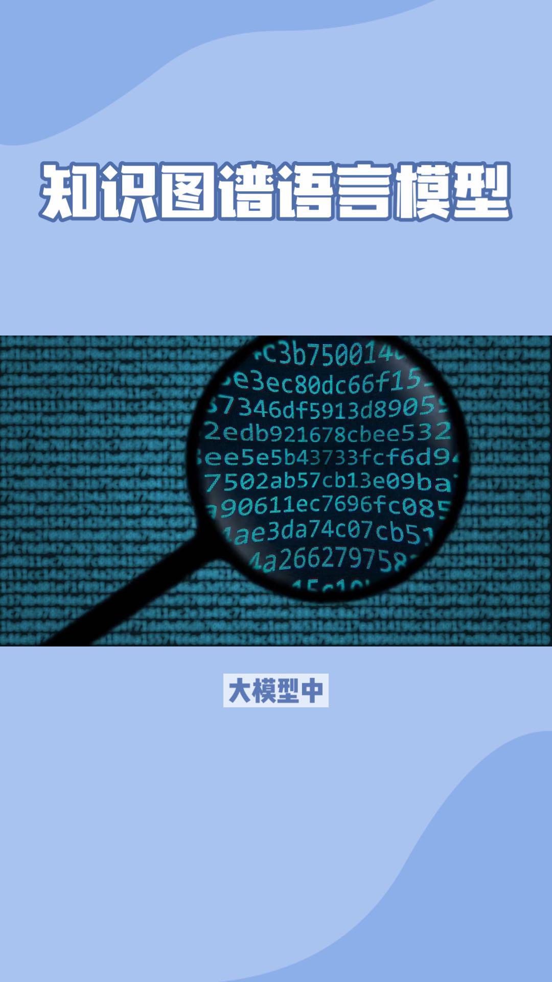 token，token软件