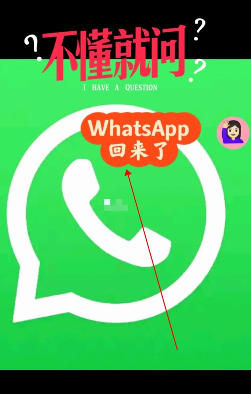 whatsapp安卓新版免费下载，whatsapp最新版安卓手机下载