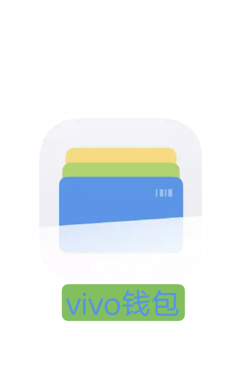 虚拟币钱包是什么用的，虚拟币钱包的选择  详解!