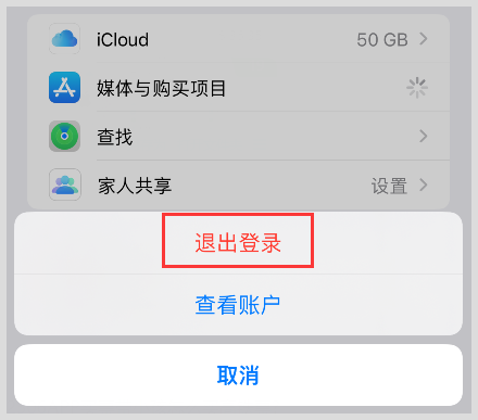 ios版skype下载，skype apple 下载