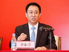 许海明和π币有什么关系，许海明个人资料简介及家世
