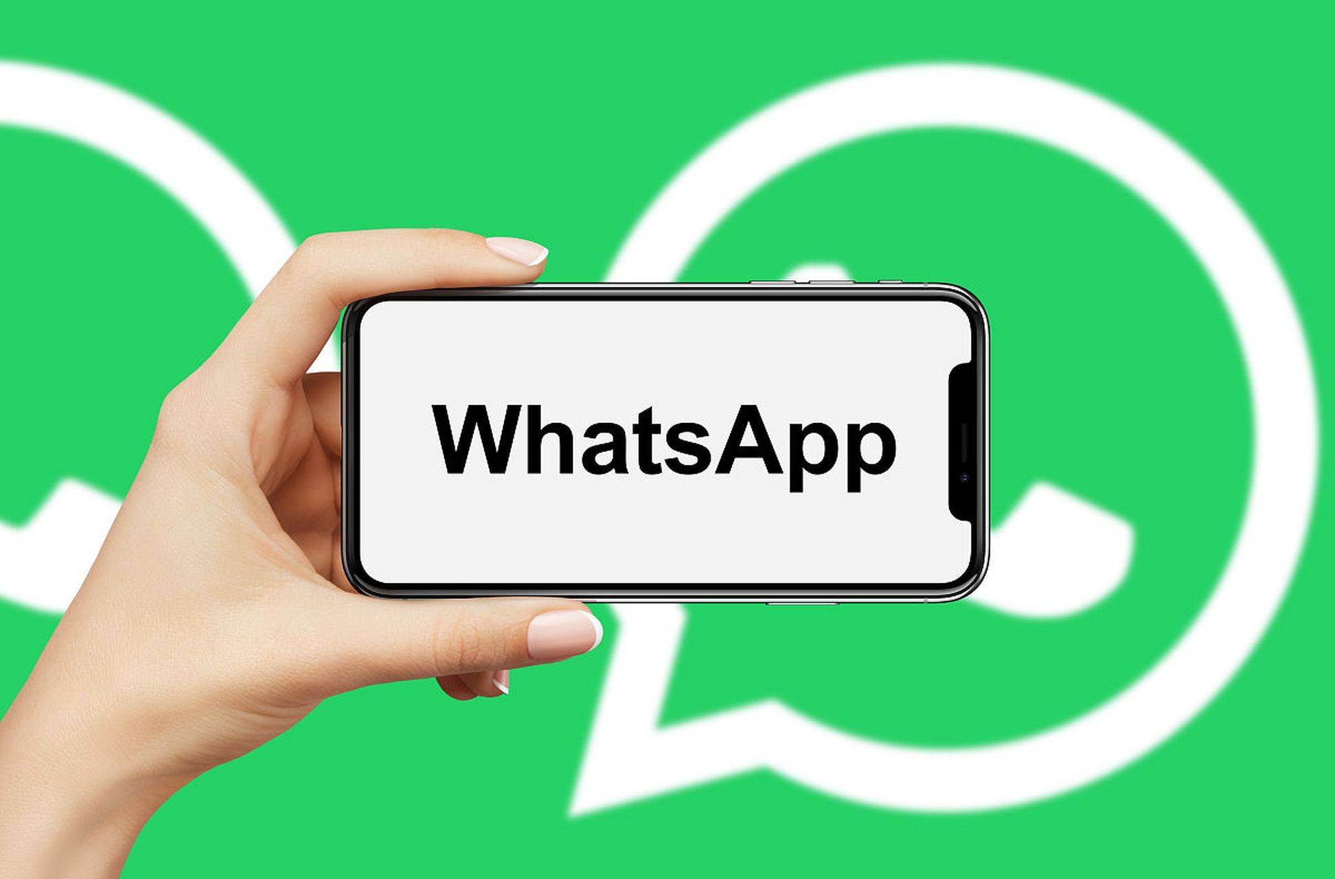 whatsapp下载不了，whatsapp无法下载文件