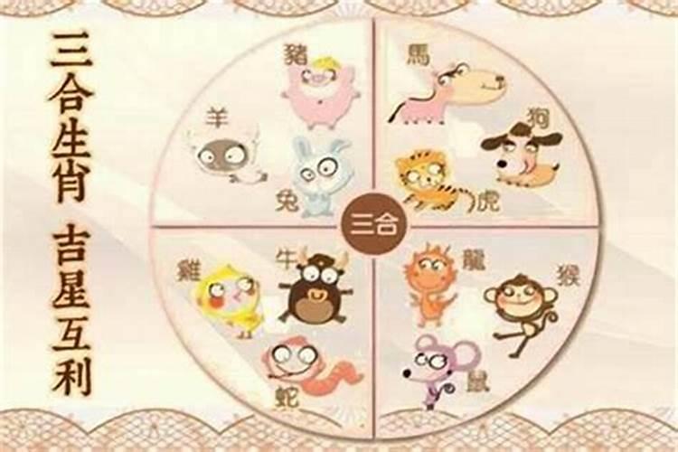 六六来是指什么生肖，今期生肖六六来是什么动物