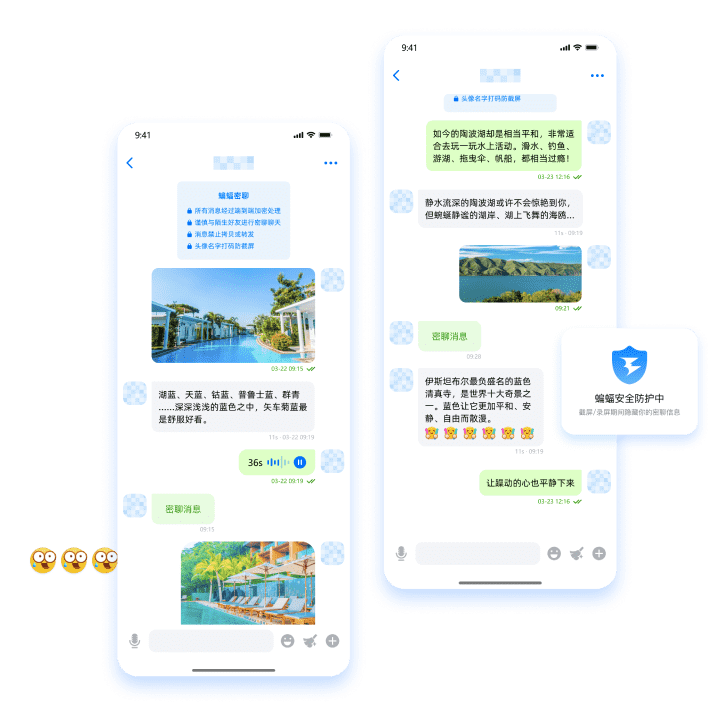蝙蝠聊天软件官方下载，蝙蝠聊天软件官方下载302版
