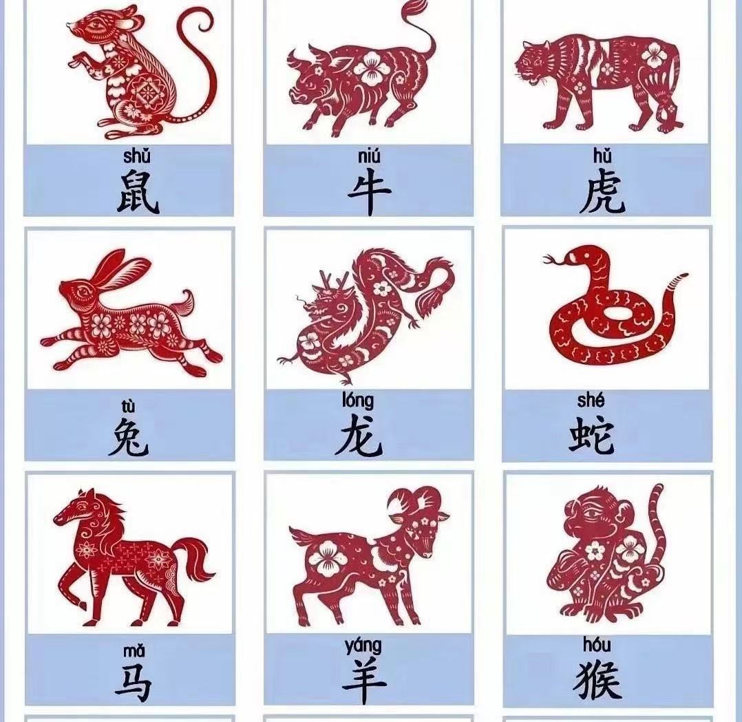 六打一准确生肖，三减六打一准确生肖