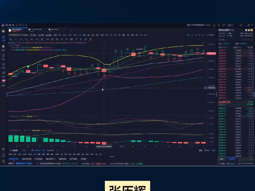 莱特币今日行情实时行情，莱特币价格今日行情透明实时价格监控