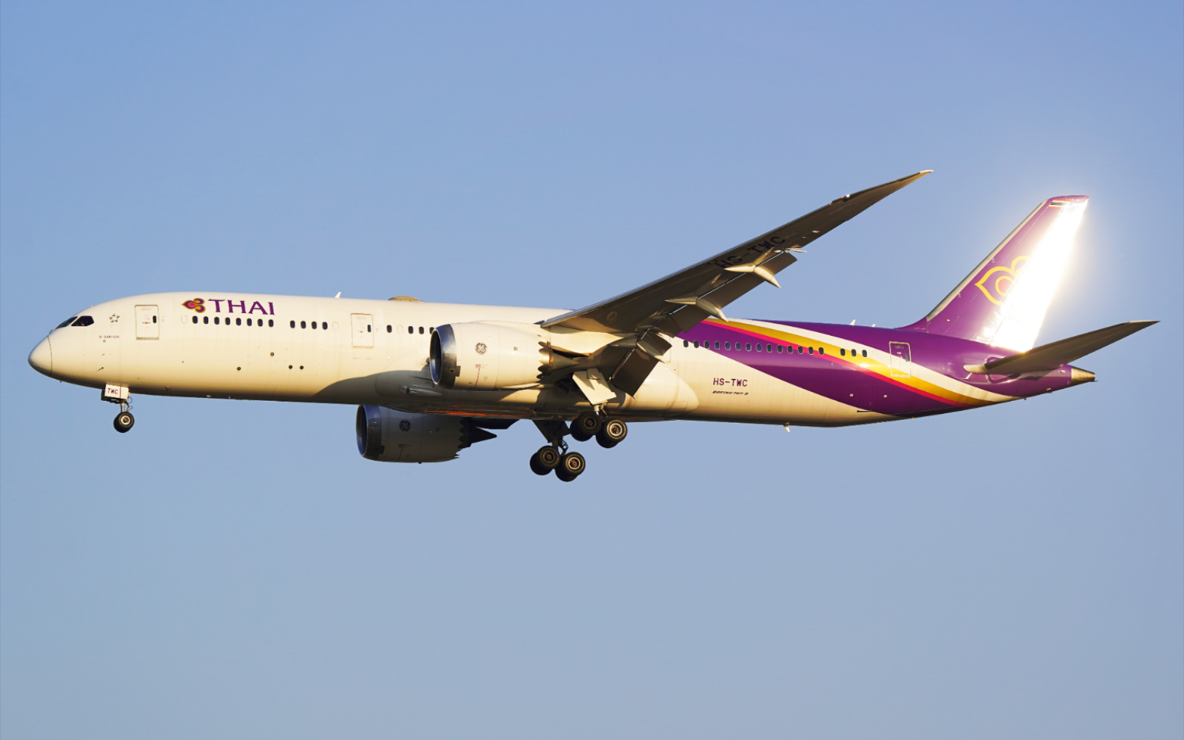 tg飞机官网，tflight