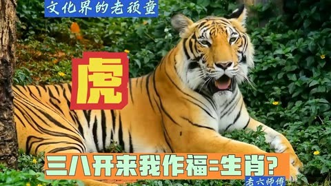 今期肖是什么?，今期生肖也可中是哪一肖
