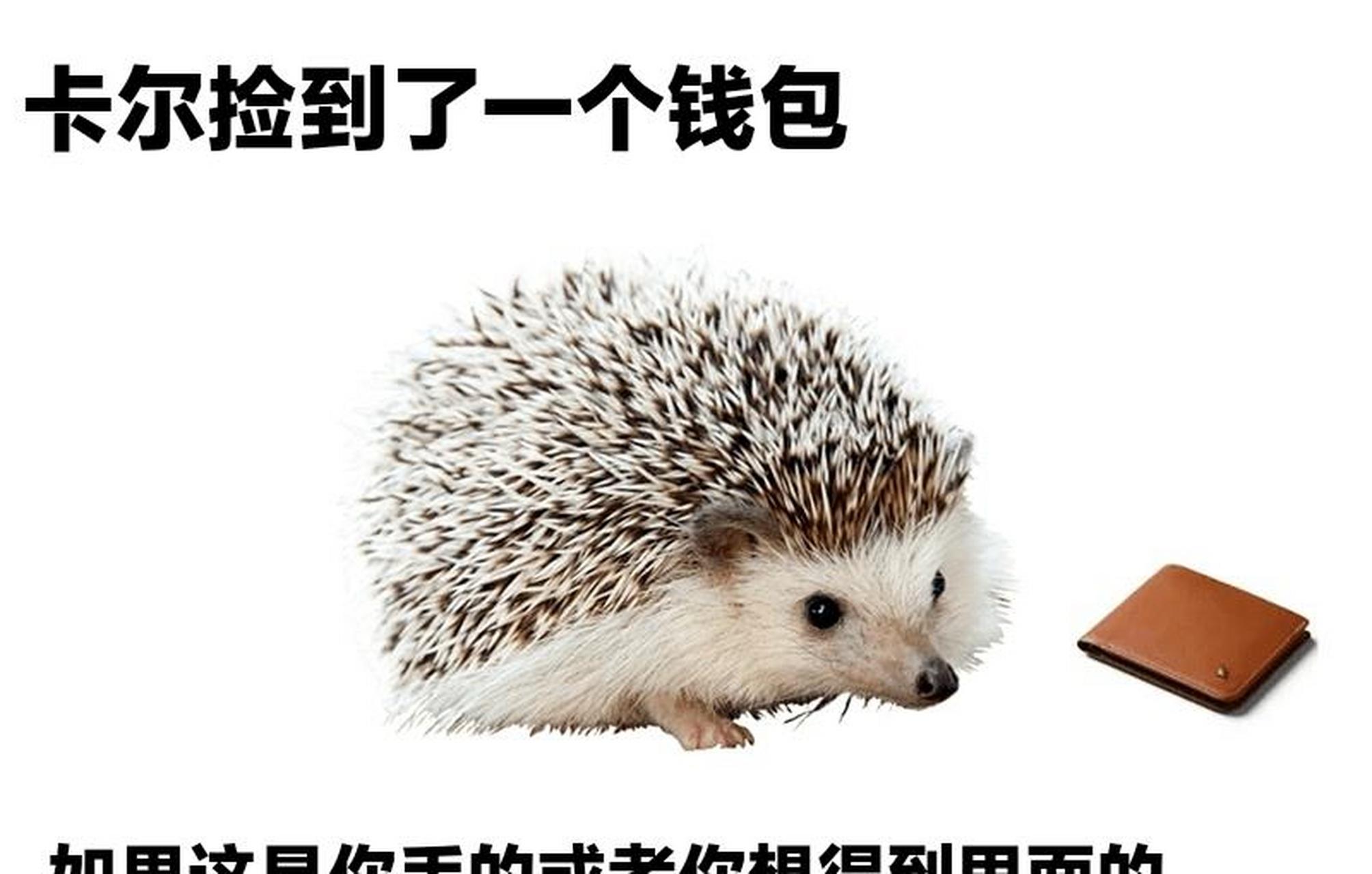 有类似刺猬钱包的平台吗，和刺猬钱包同款软件叫什么