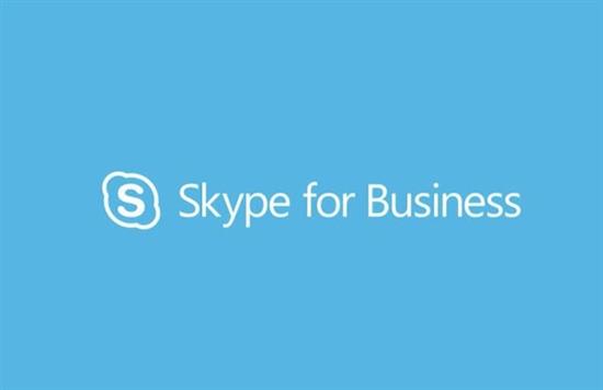 skype是啥?，skype是啥意思