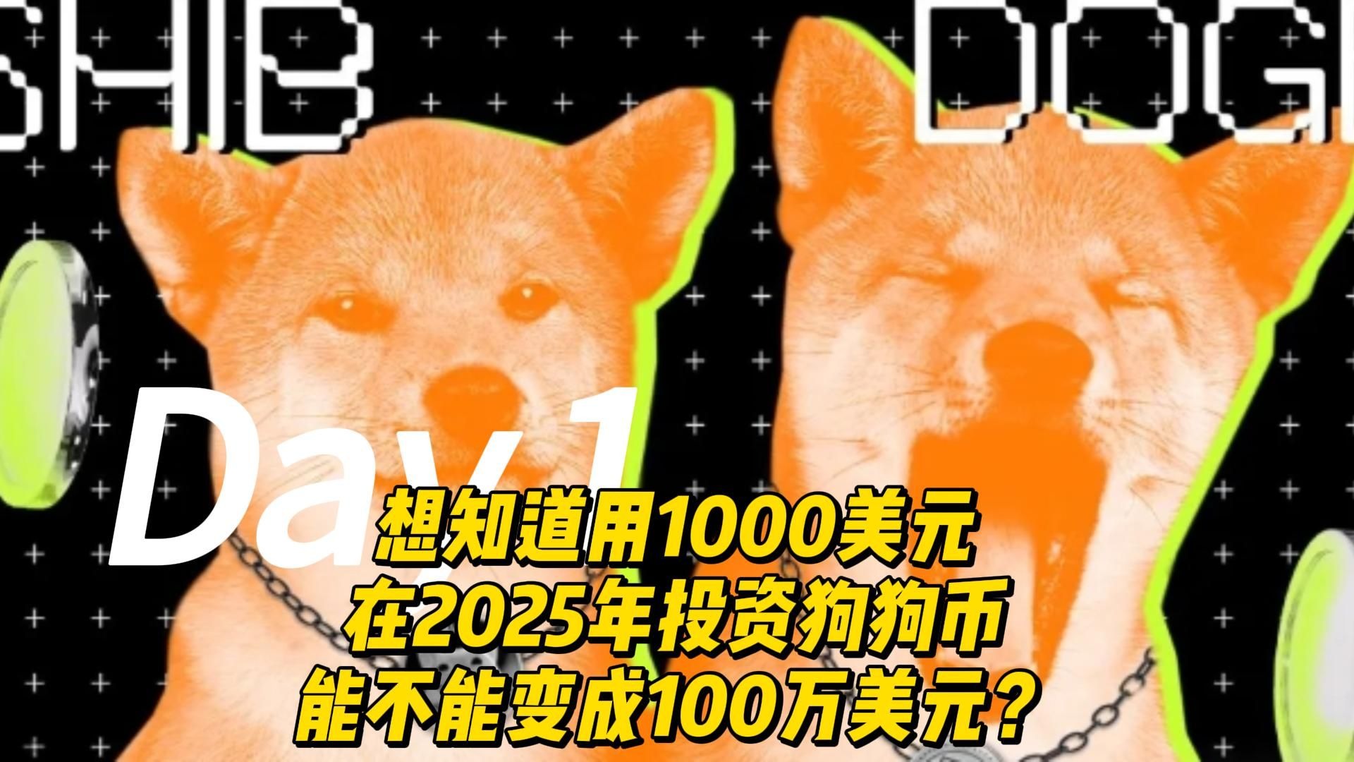狗狗币美金价格，狗狗币最新美金价格