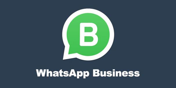 whatsapp2020安卓版下载，whatsapp安卓最新版本下载安装