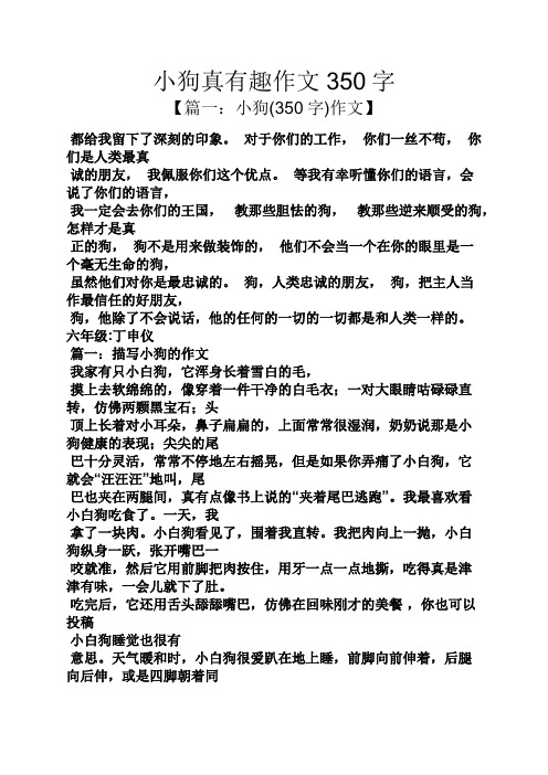 细羊足玄机打一动物，细羊足玄机是指什么生肖