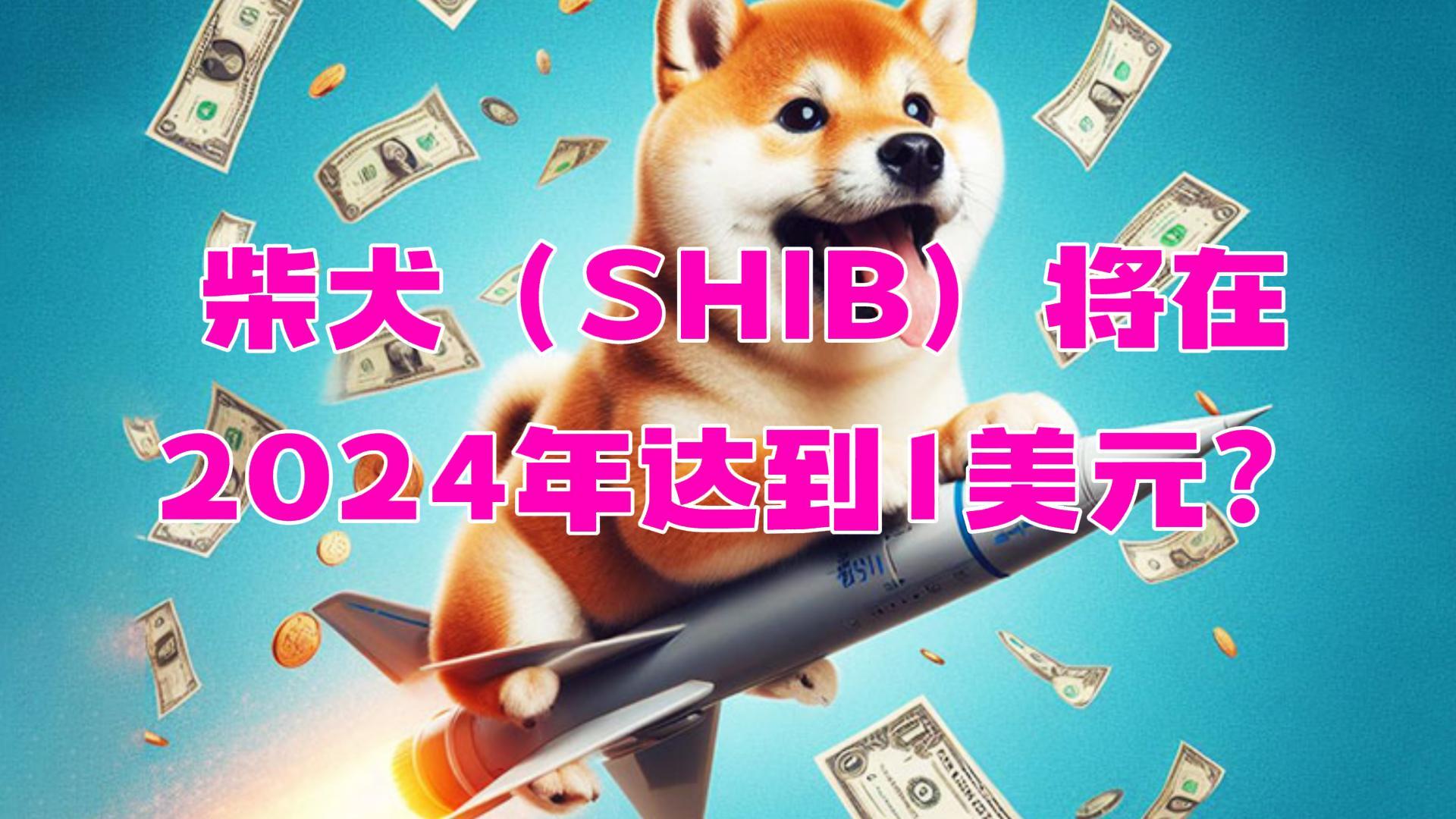 shib币价格今日行情，shib币价格今日行情最新